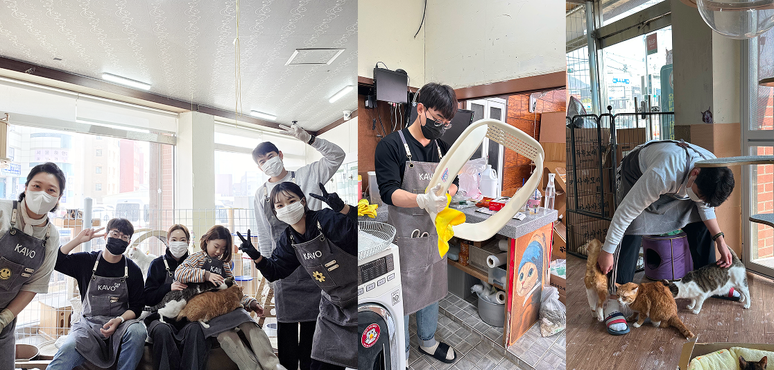 동호회 KAVO, 유기동물 보호소 봉사활동 진행